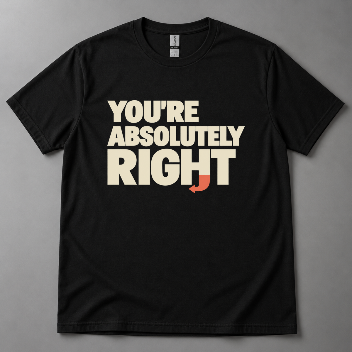 You're absolutely right AI T-Shirt