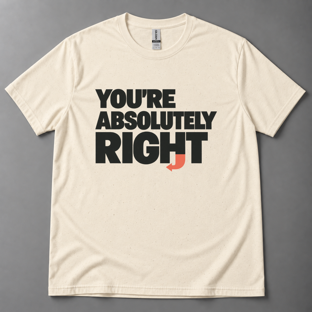 You're absolutely right AI T-Shirt