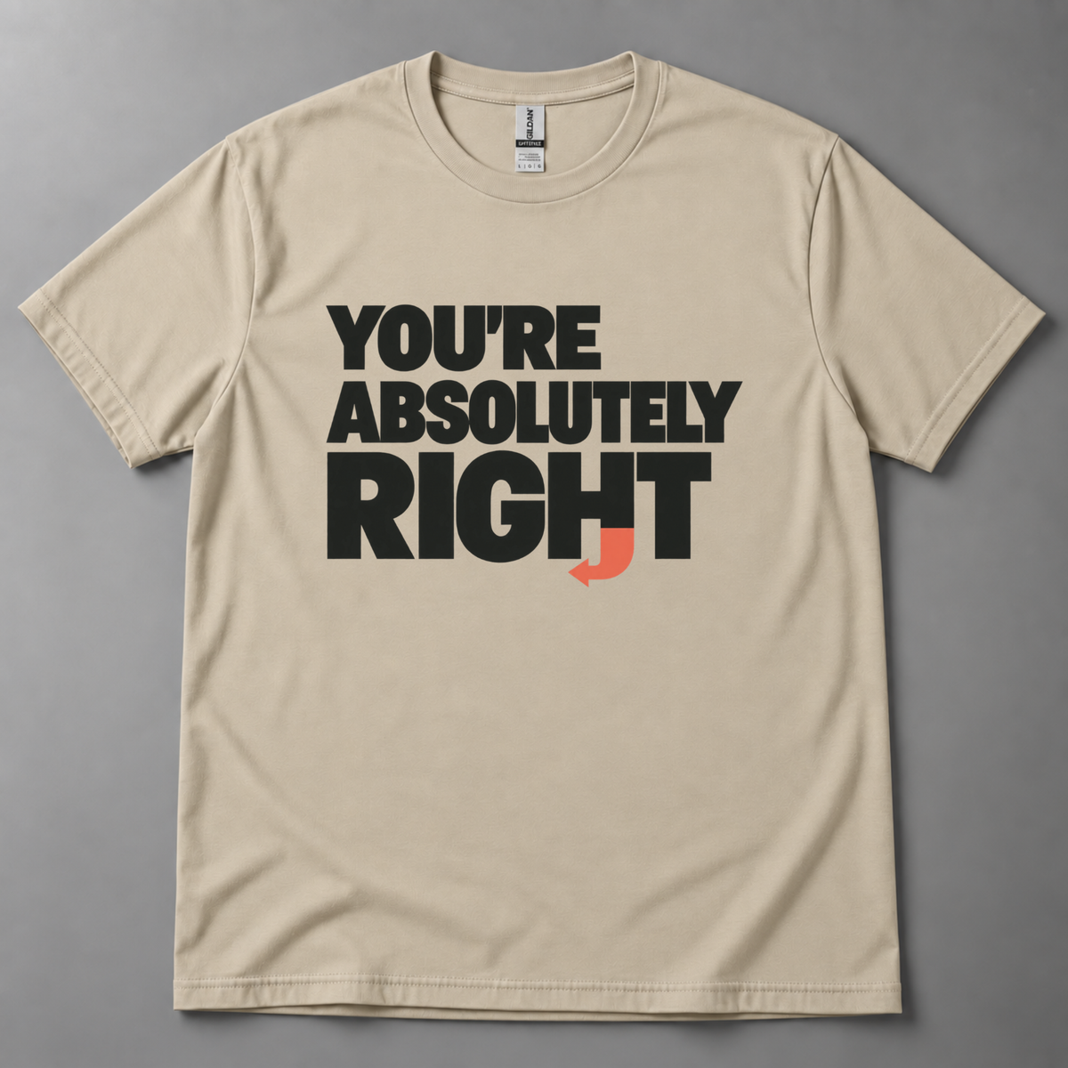 You're absolutely right AI T-Shirt